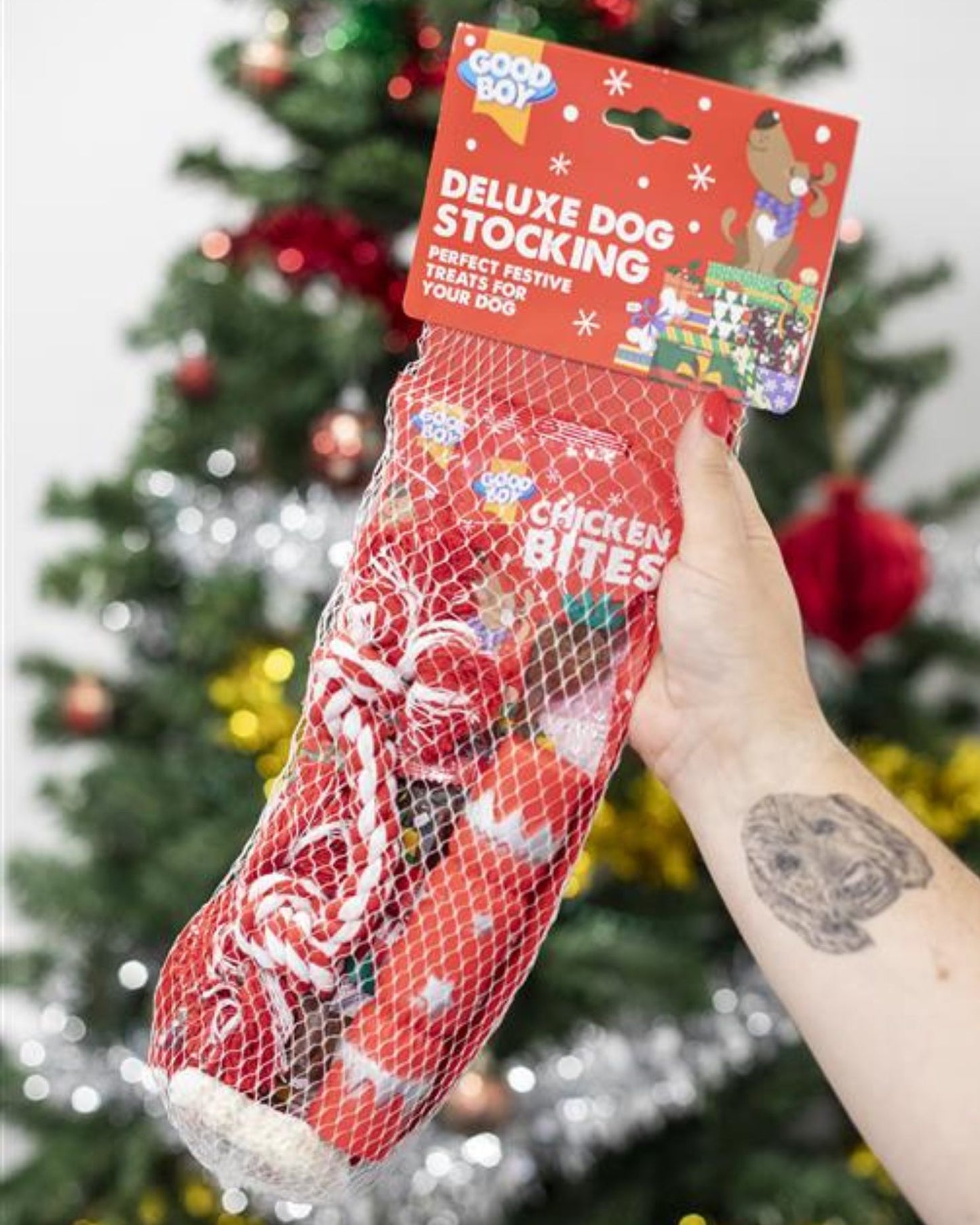 Dog's Christmas Toys, Treats & Dinner
