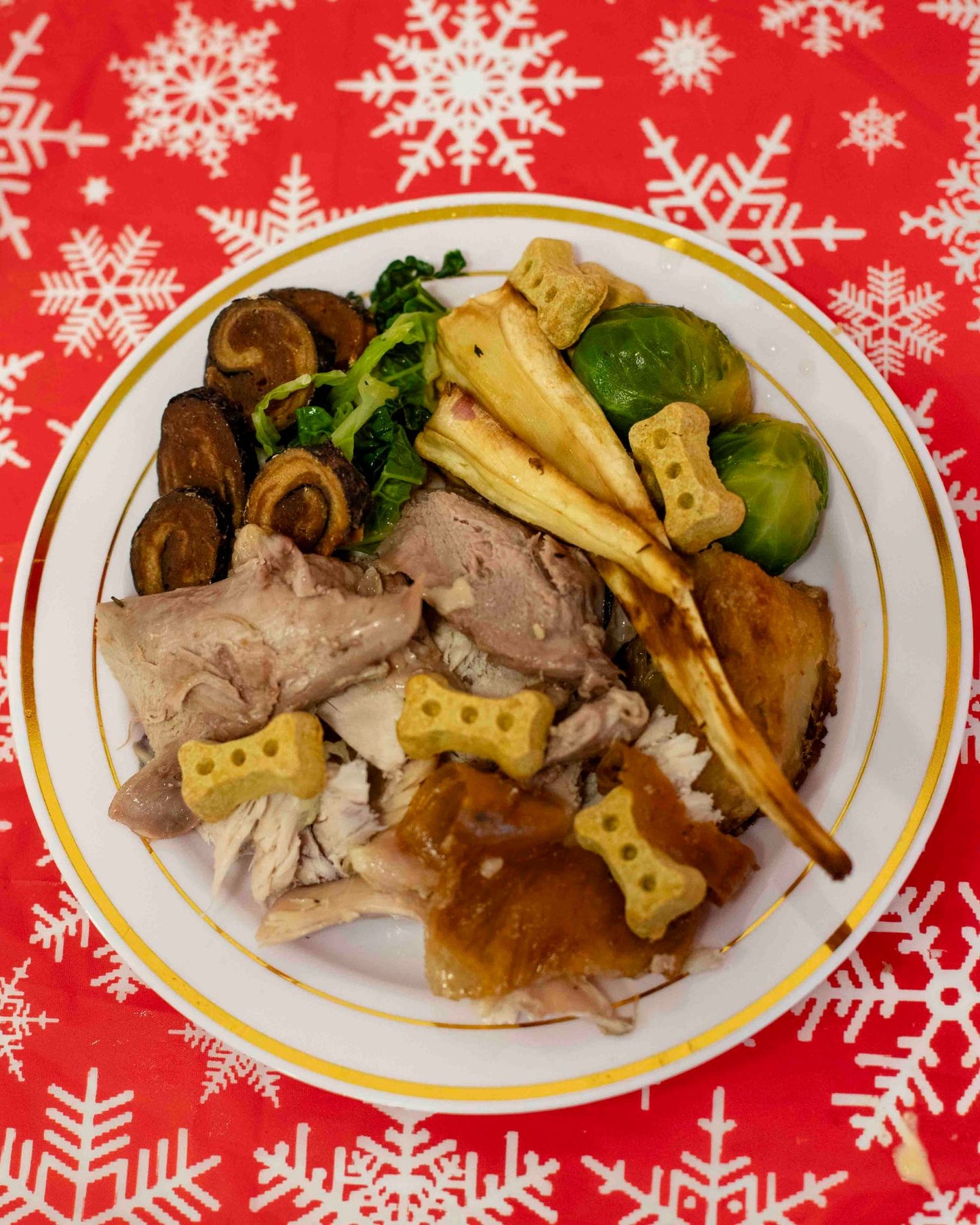 Dog's Christmas Toys, Treats & Dinner