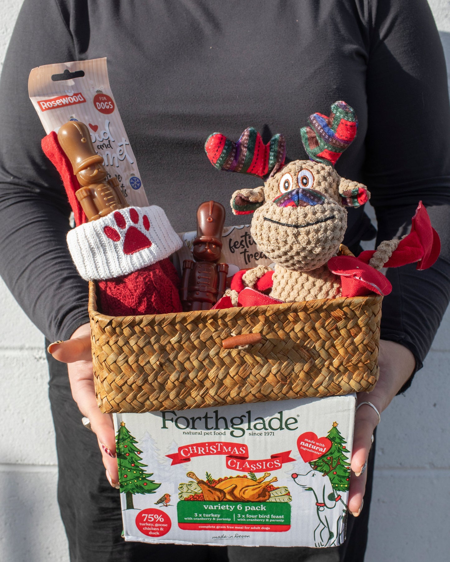 Dog's Christmas Surprise!