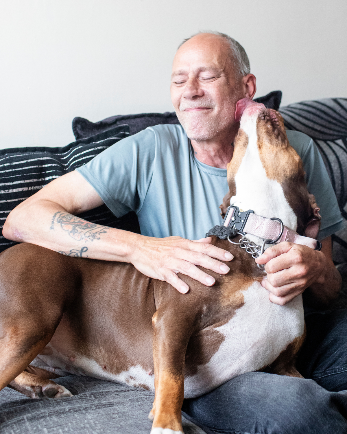 Dog's Gifts & Christmas Dinner (Owner & Dog)