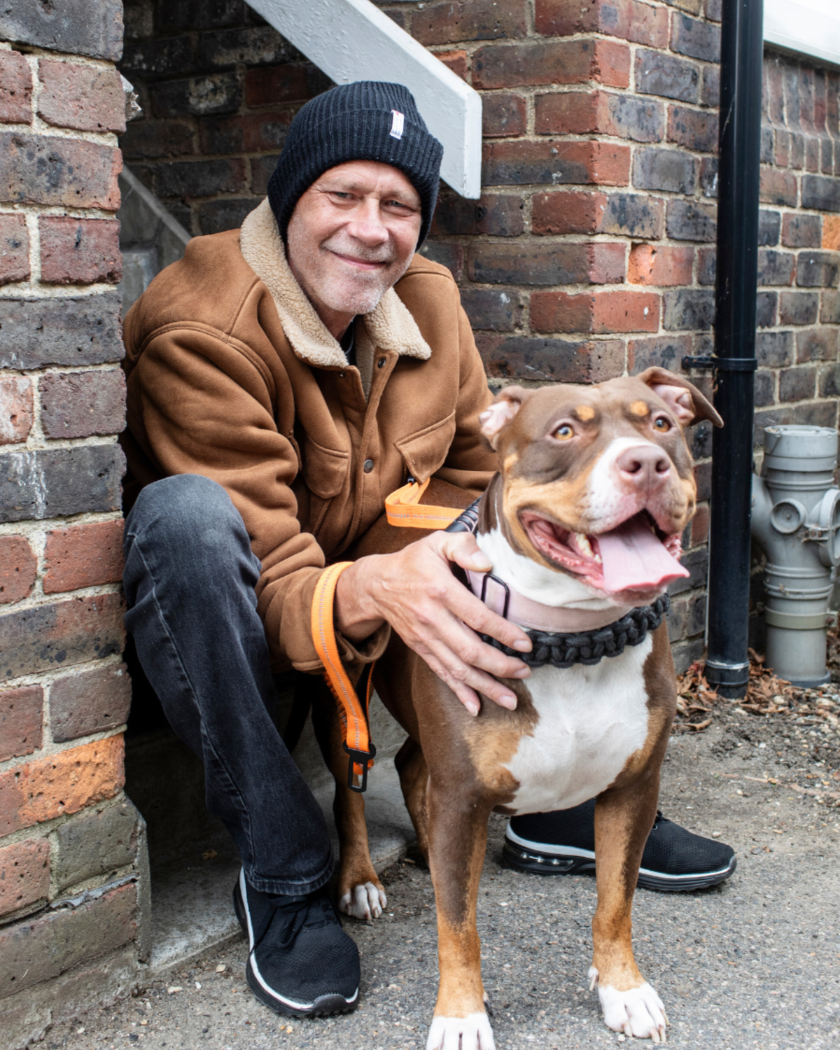 Dog's Gifts & Christmas Dinner (Owner & Dog)