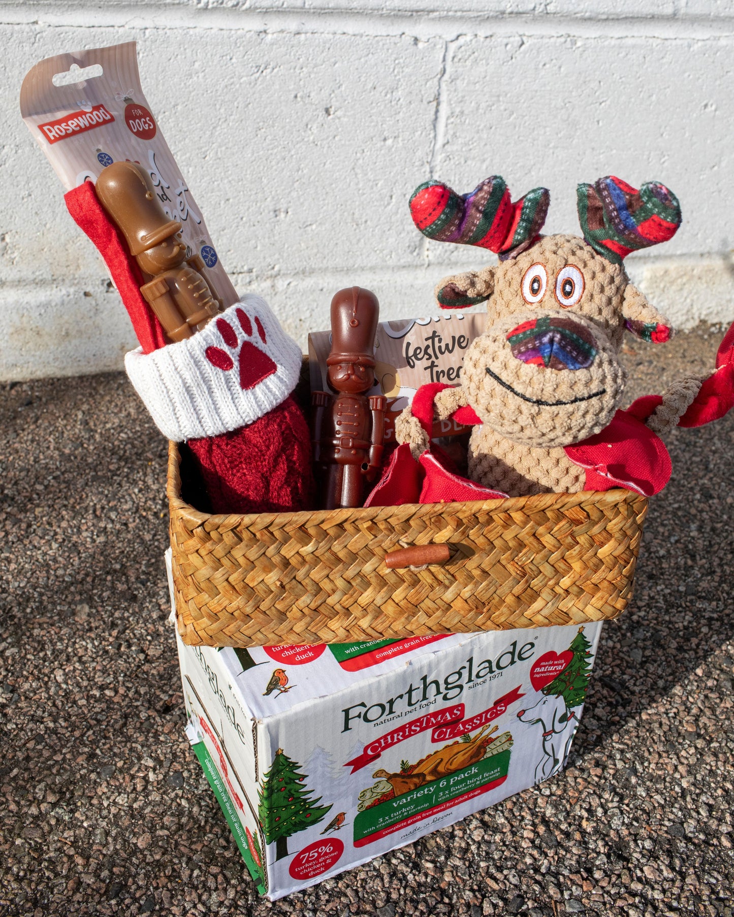 Dog's Christmas Surprise!