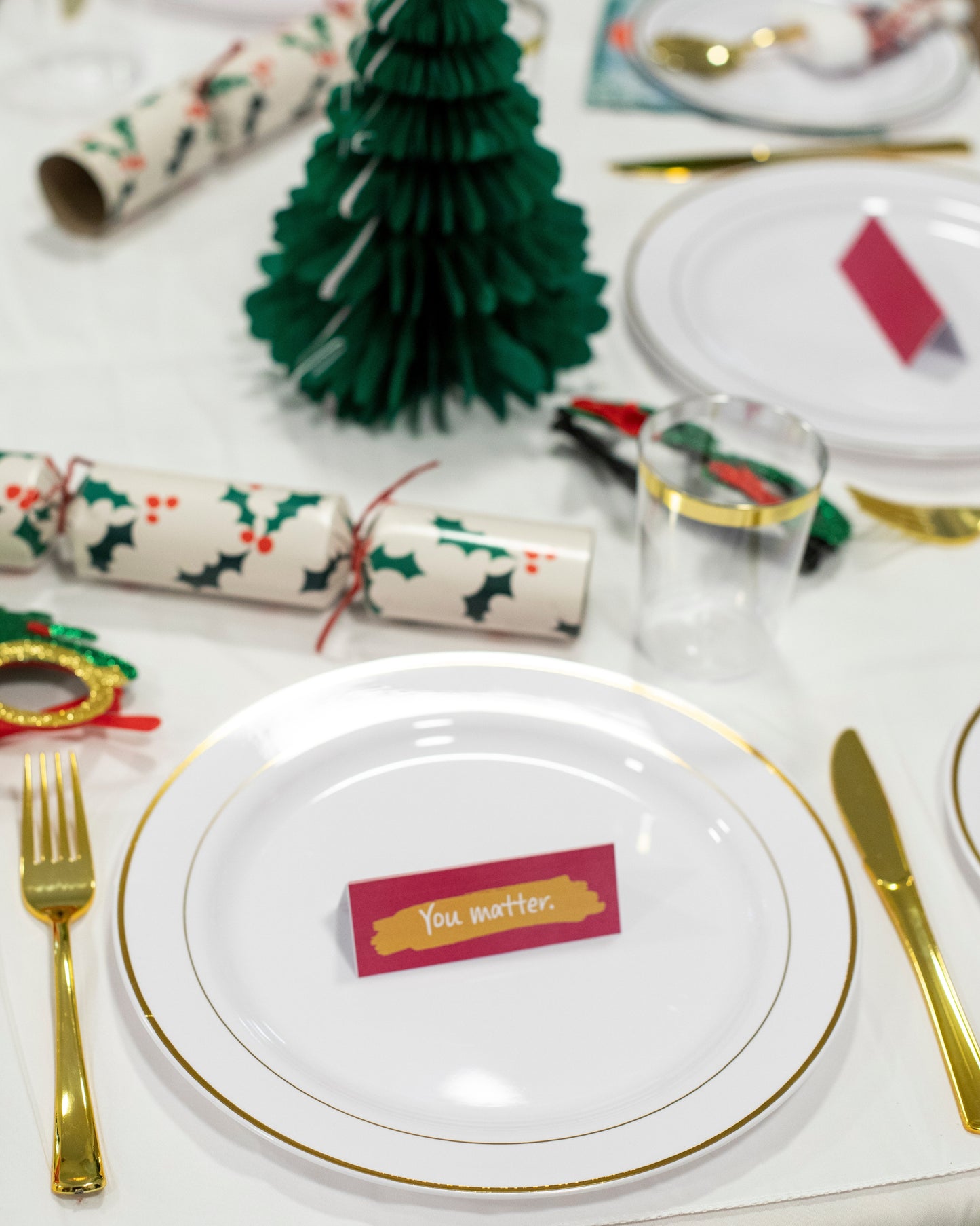 Vegan or Vegetarian Christmas Dinner For One